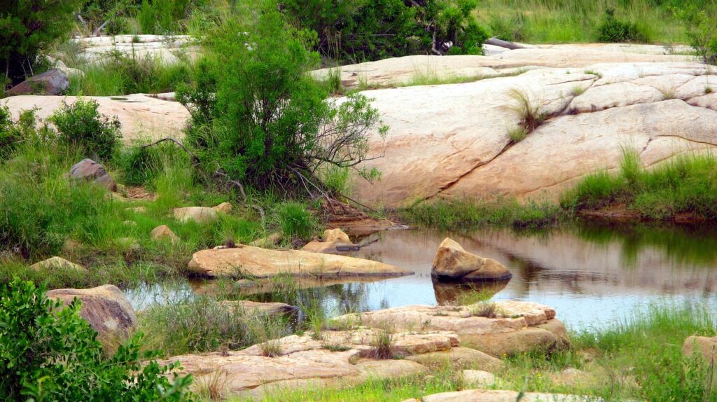 Kruger National Park